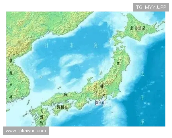 探究'Pino'在日本的多重含义及文化背景